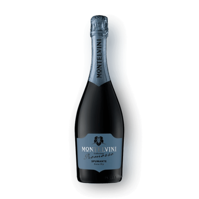 MONTELVINI